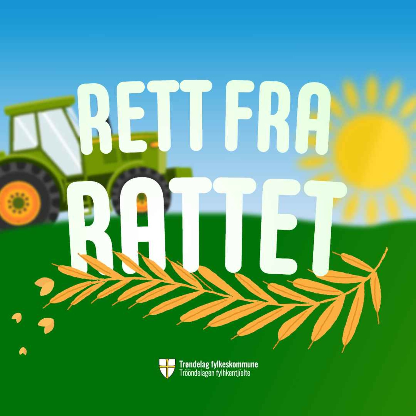 Rett fra rattet