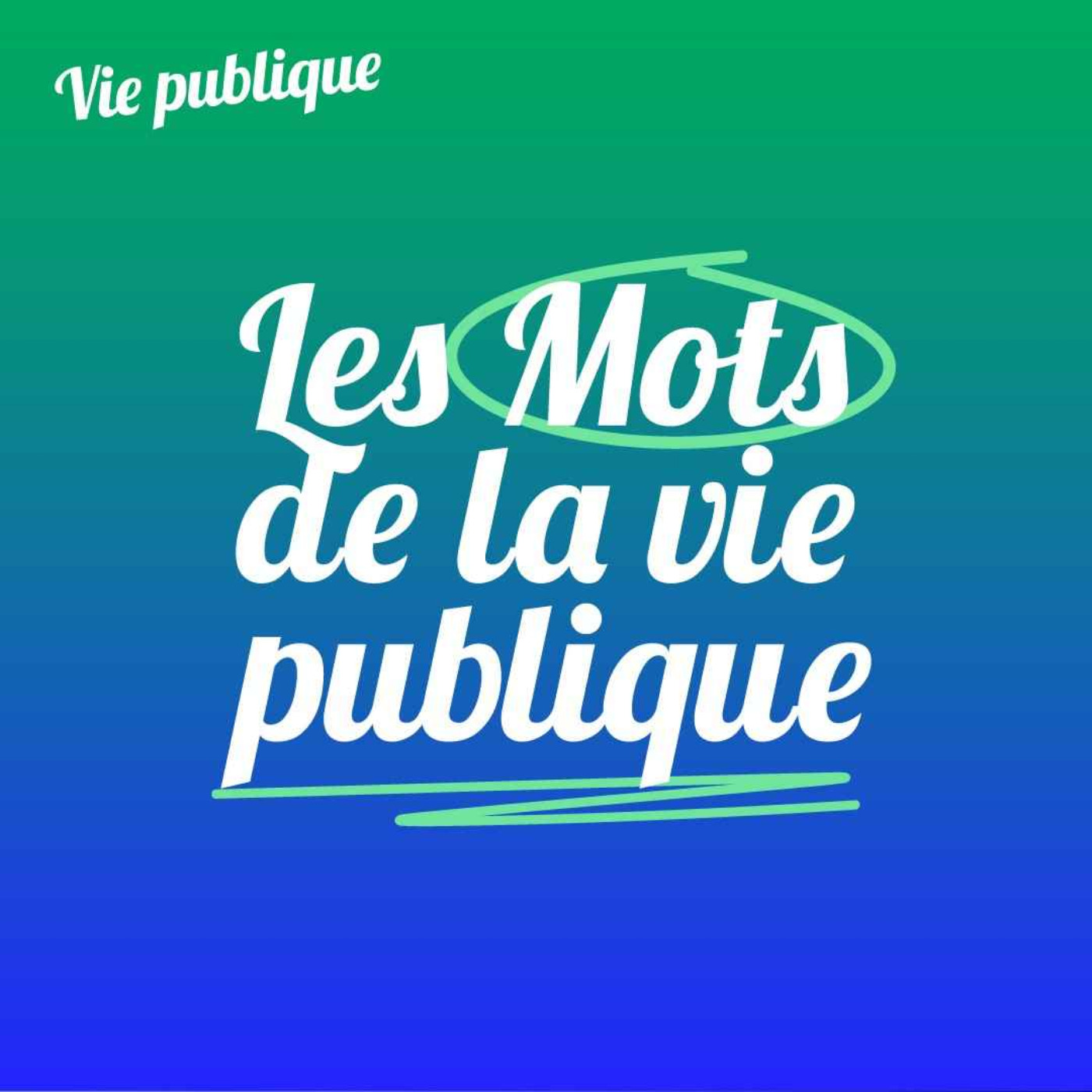 Les Mots de la vie publique