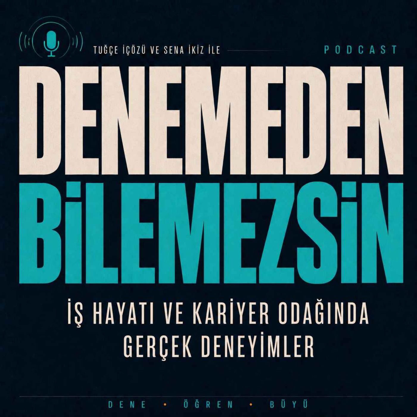 Denemeden Bilemezsin