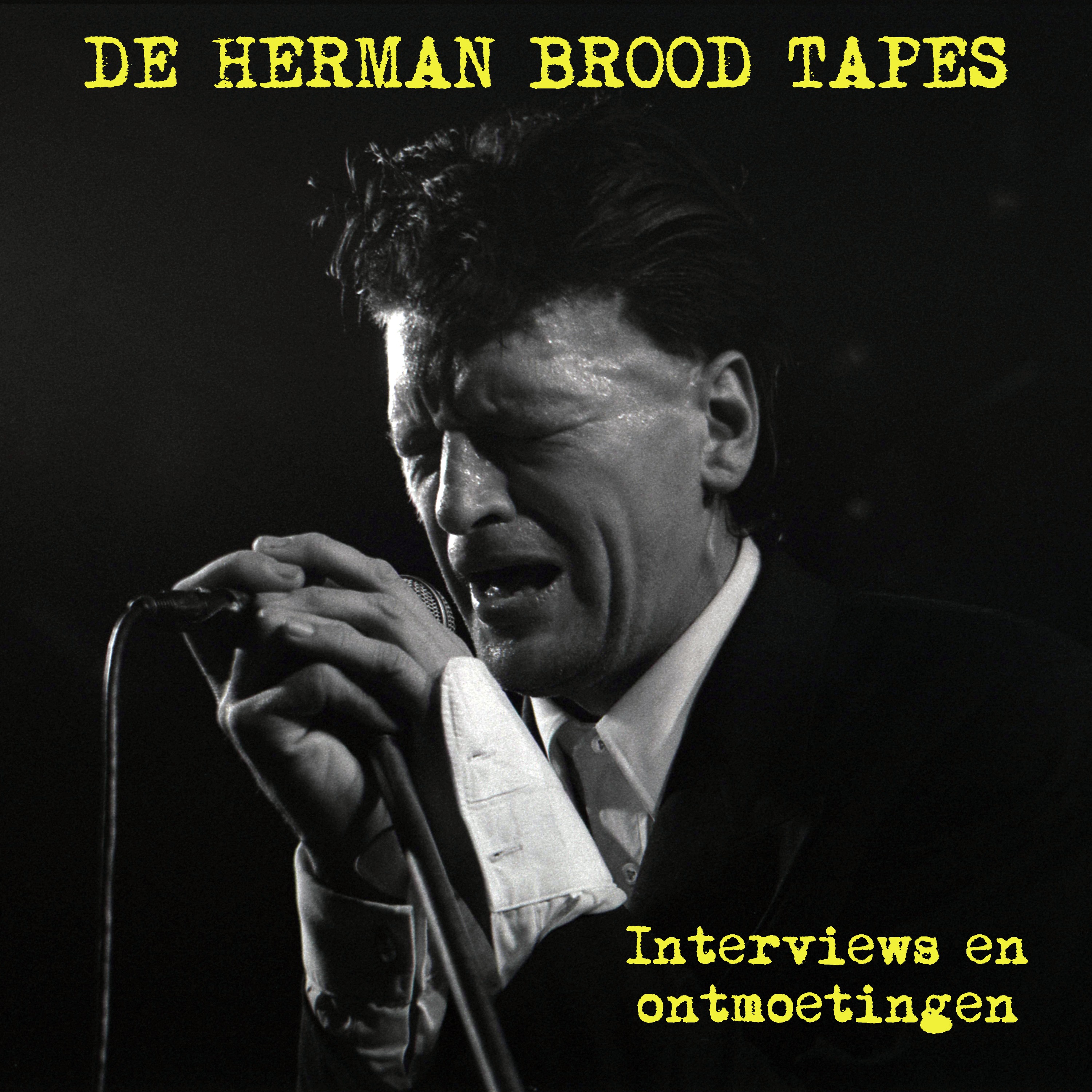 De Herman Brood Tapes