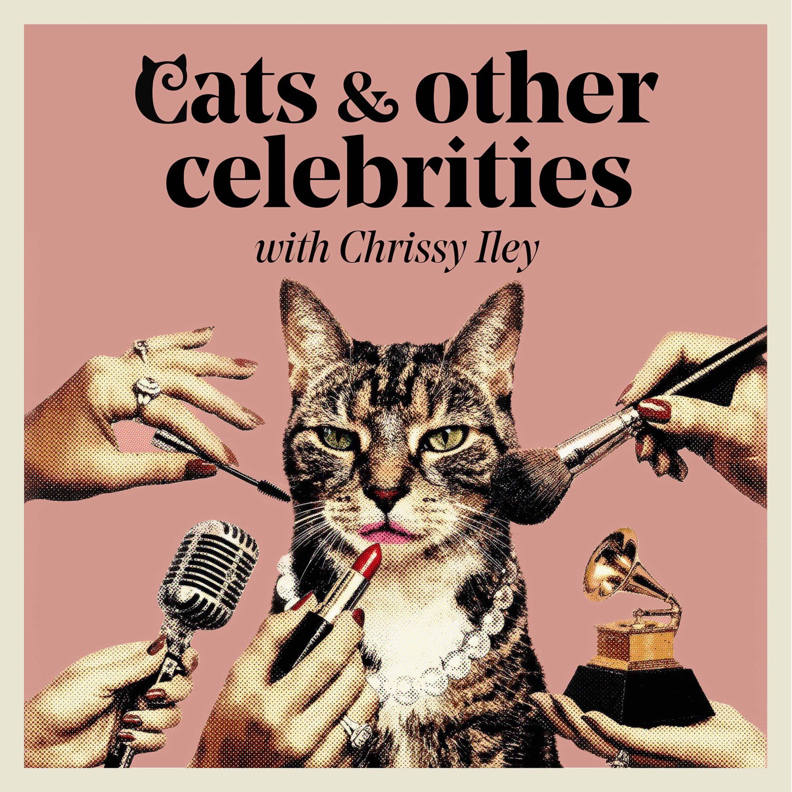 Cats and Other Celebrities podcast artwork