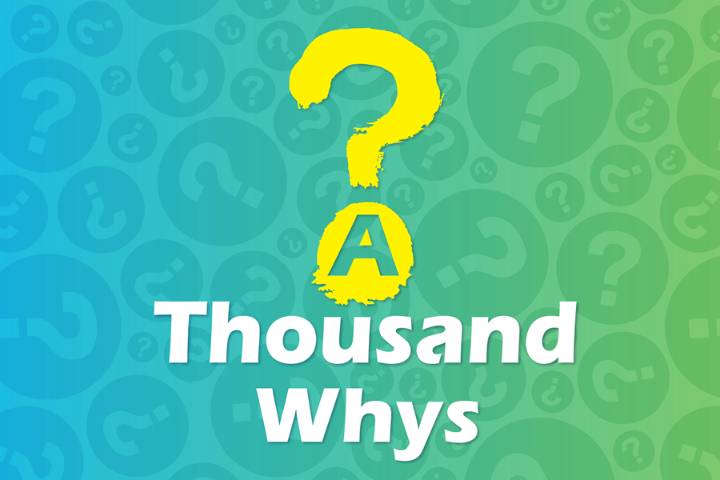 A Thousand Whys podcast artwork