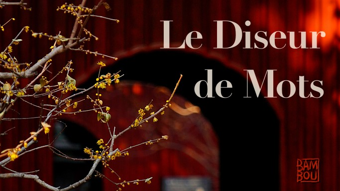 Le Diseur de Mots