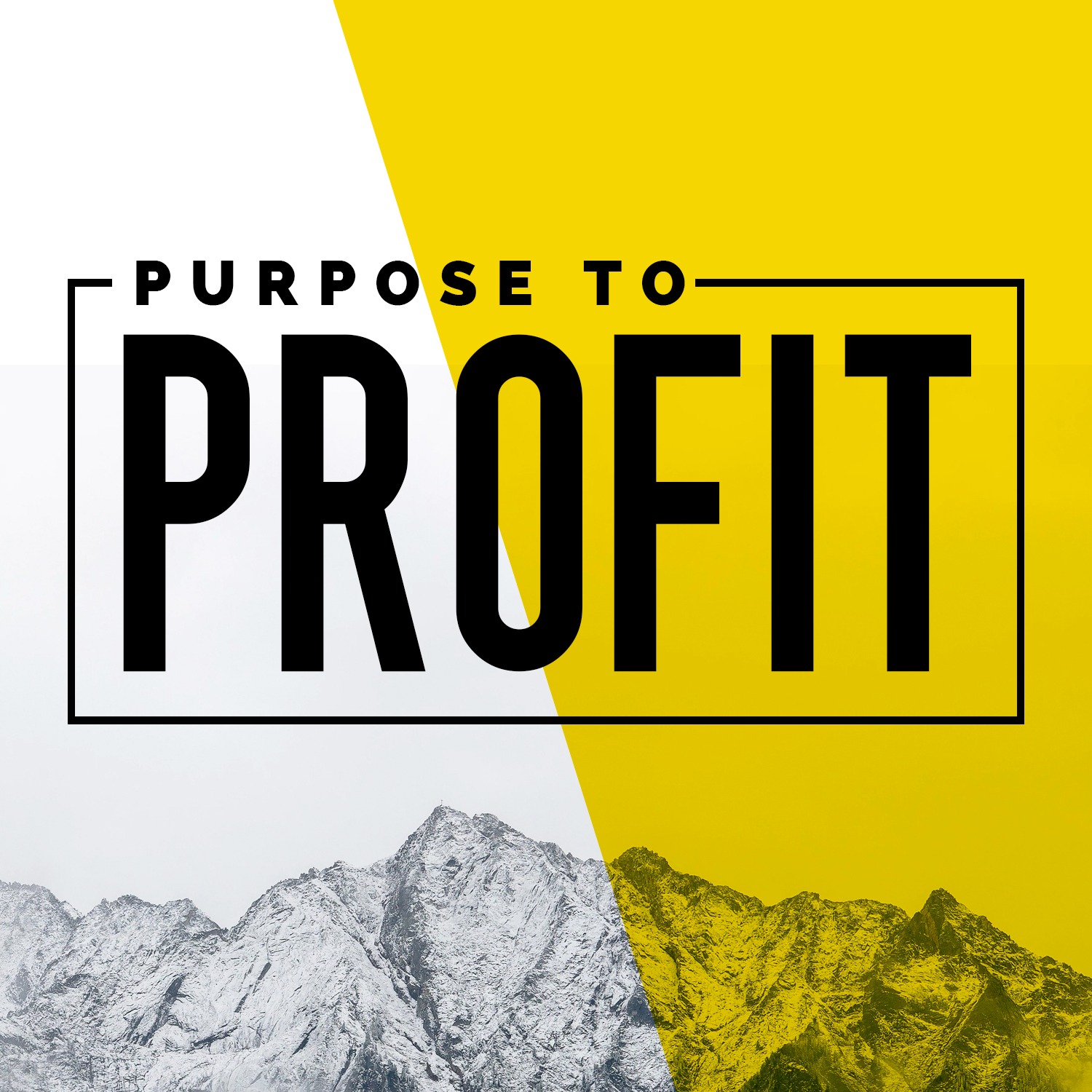 Purpose to Profit