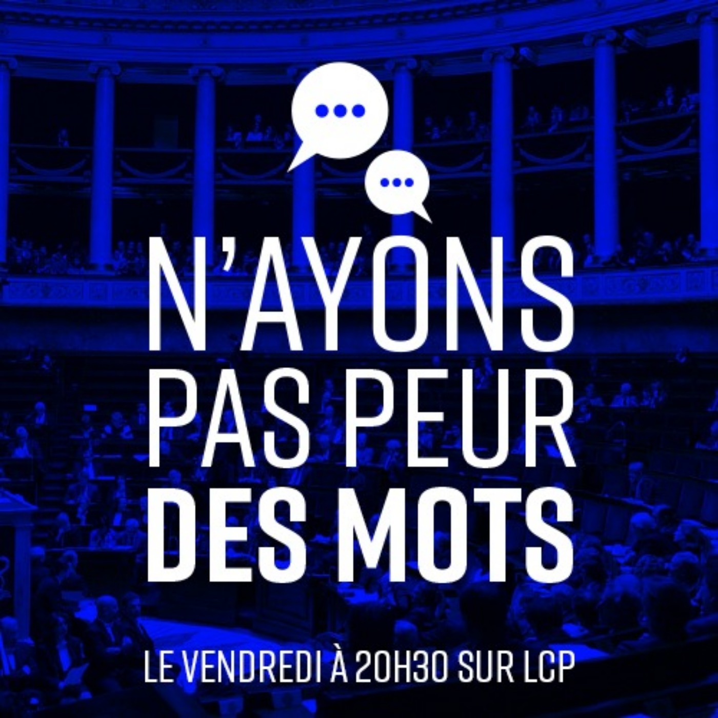 NPPM - N\'ayons pas peur des mots - LCP