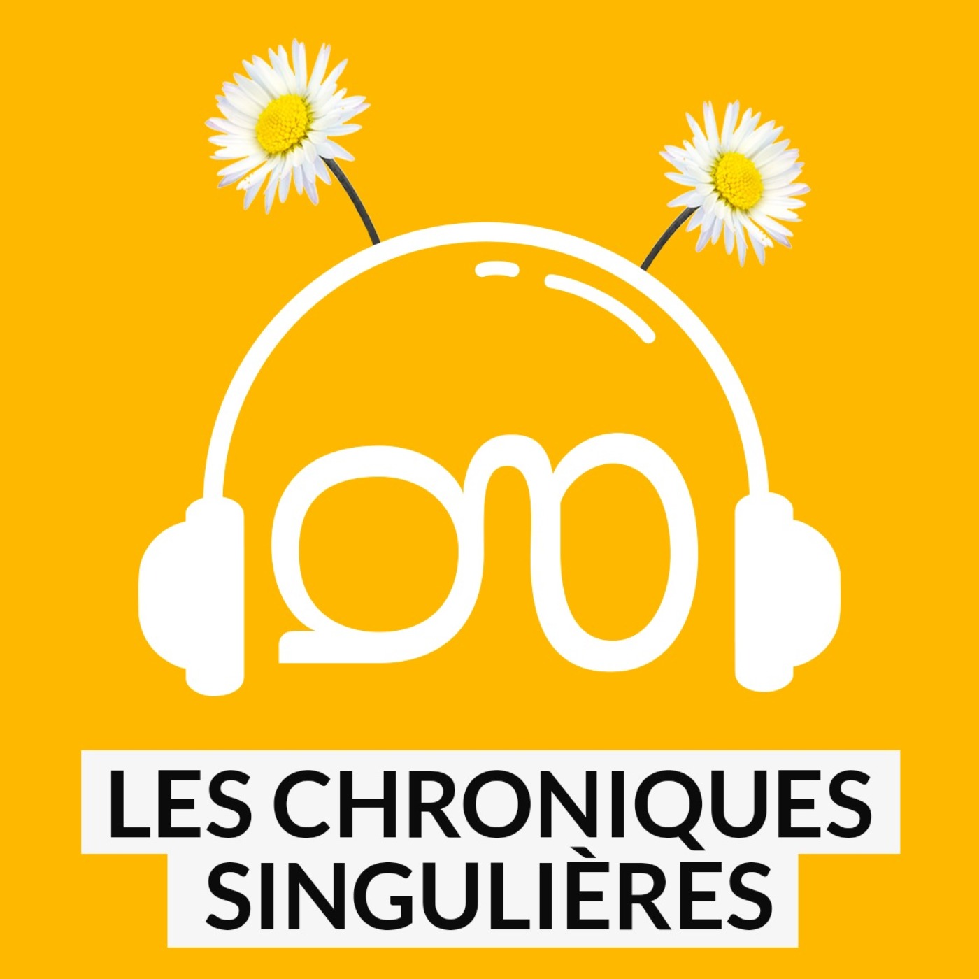 Chroniques Singulières