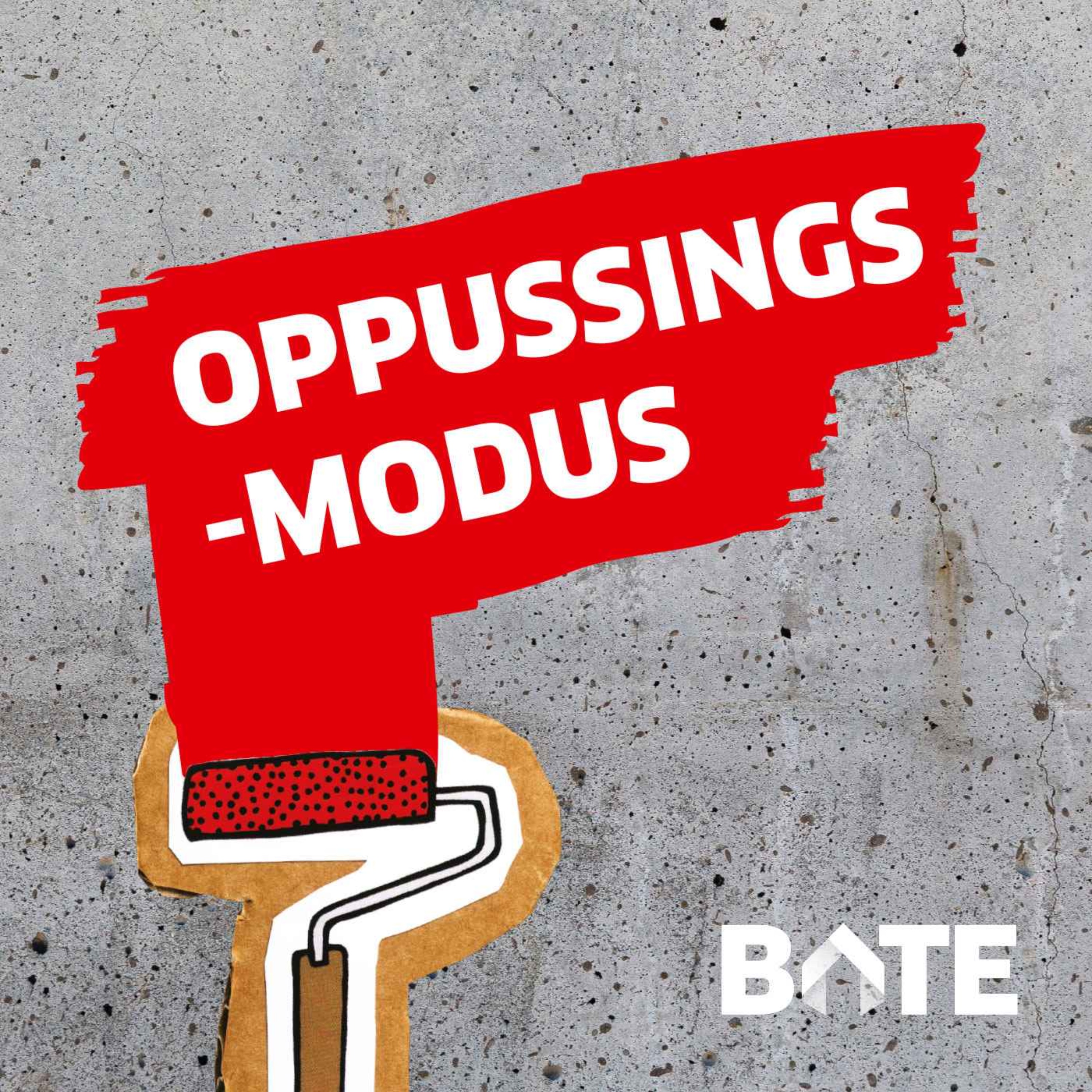 Oppussingsmodus