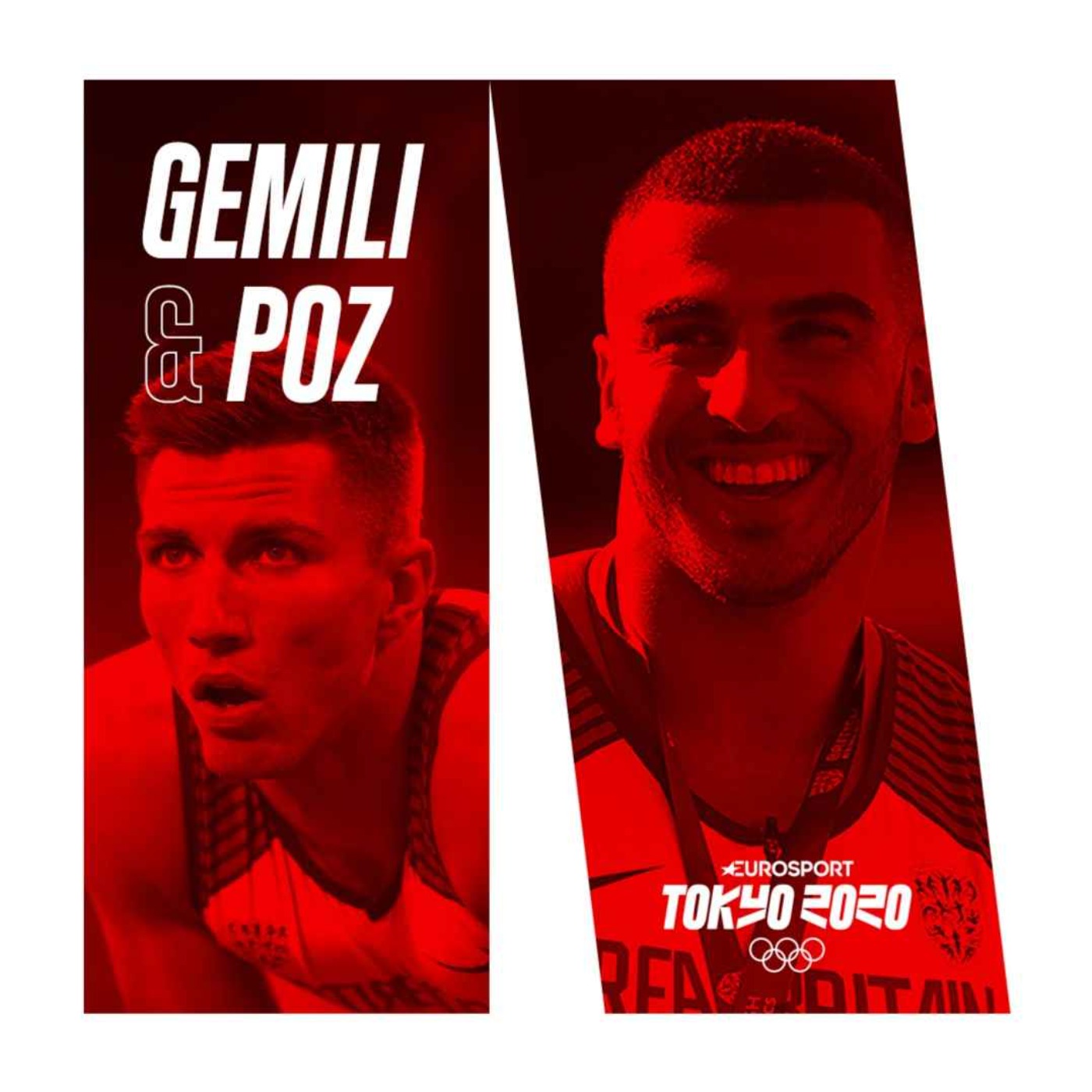 cover art for Introducing Gemili & Poz...