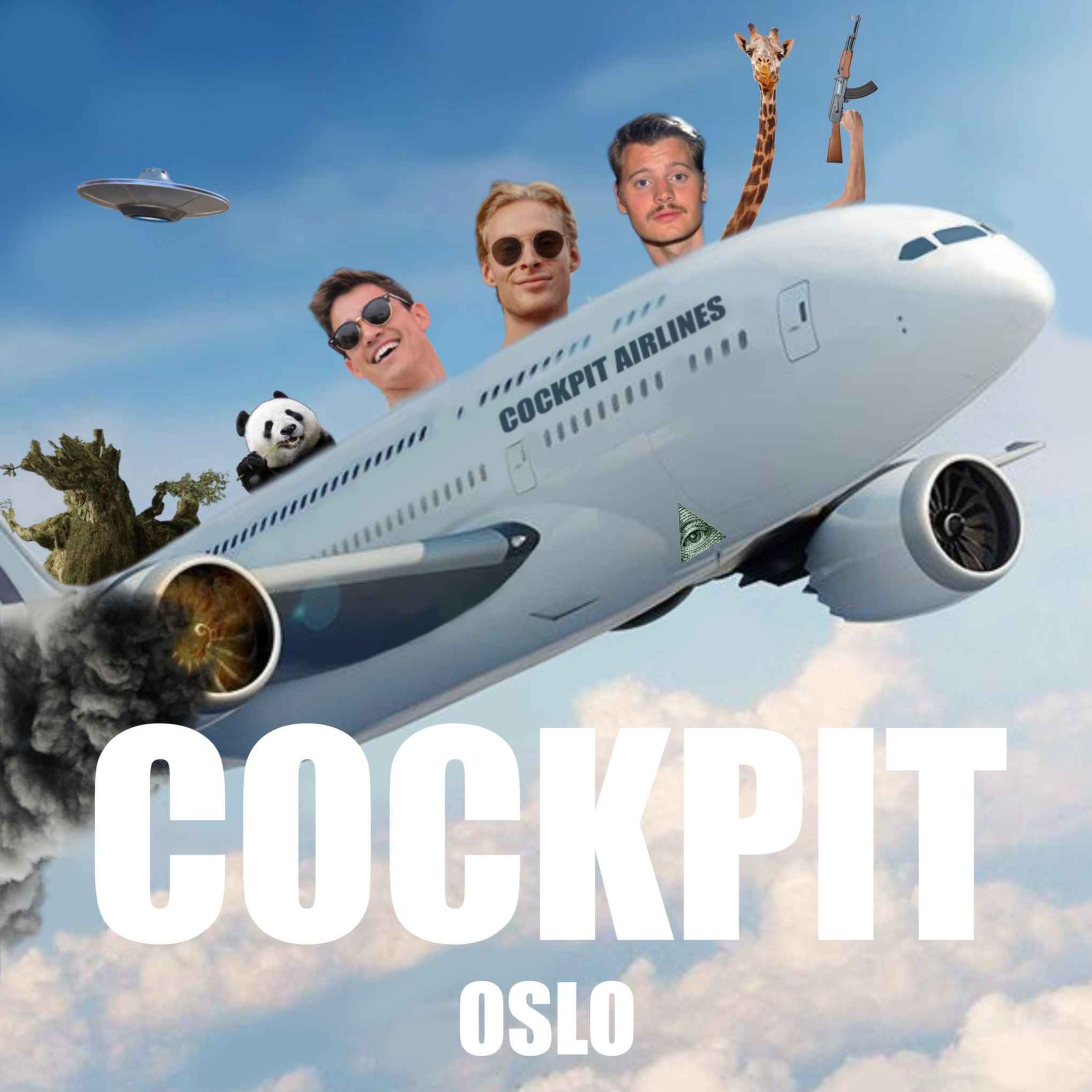 Cockpit Oslo