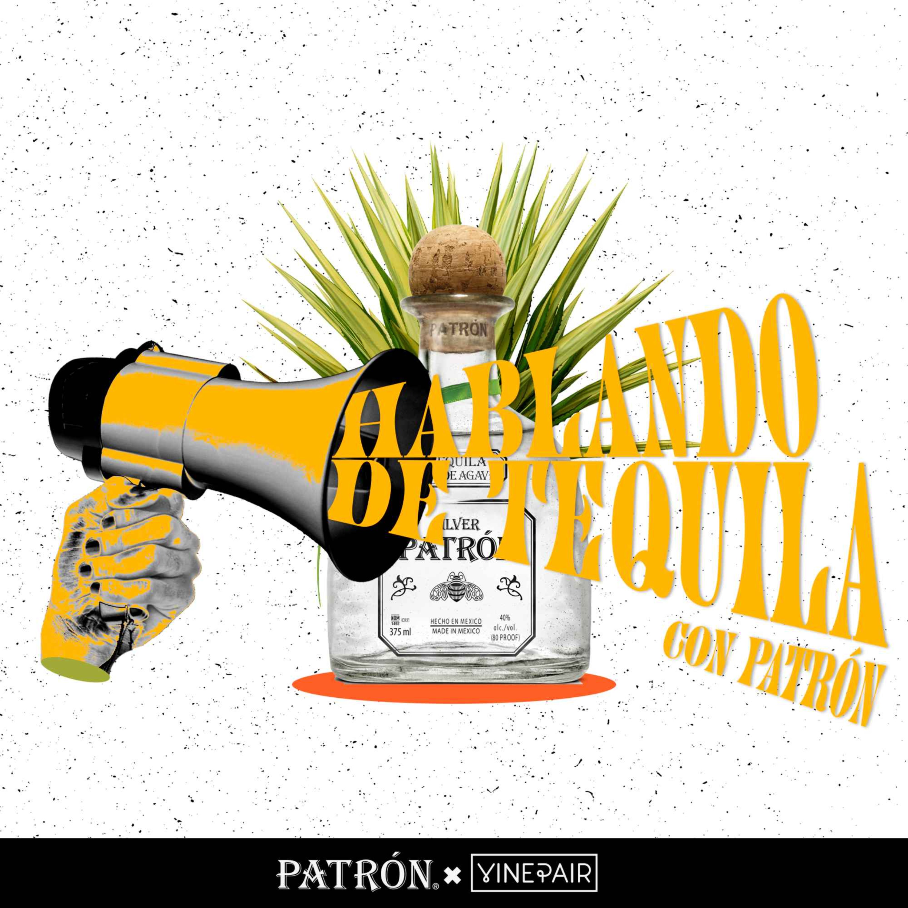 Hablando de Tequila Con PATRÓN